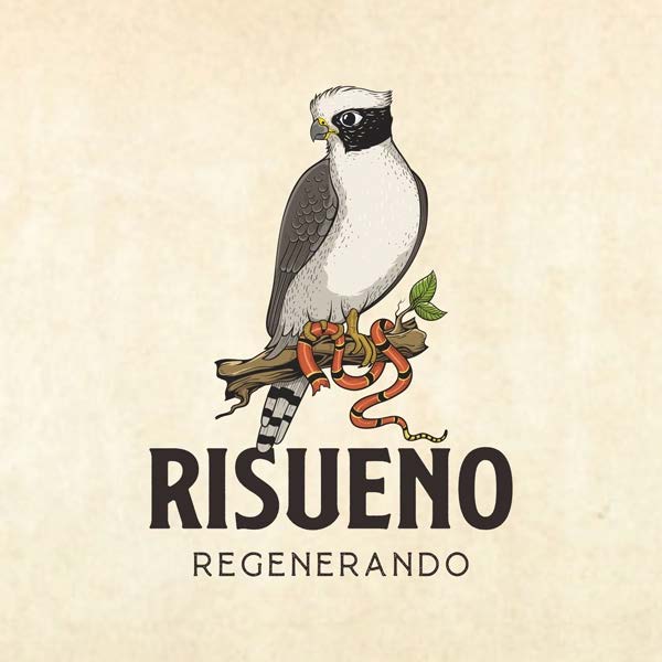 Risueno logo